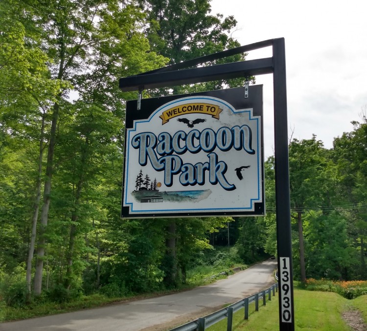 Raccoon Park (East&nbspSpringfield,&nbspPA)